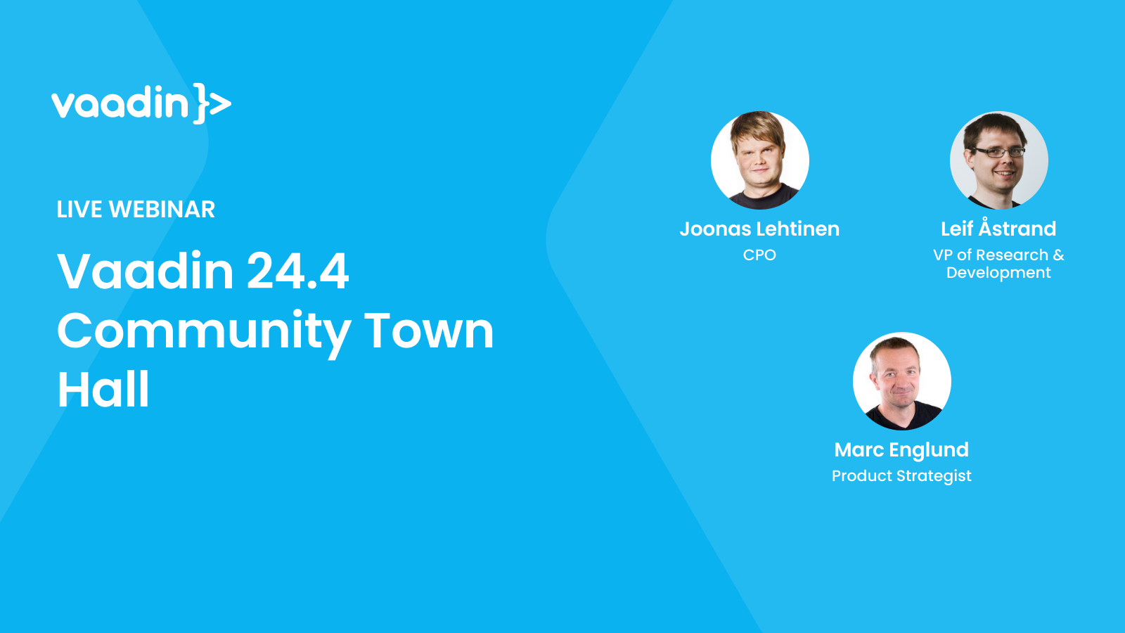 Vaadin 24.4 Community Town Hall - Vaadin webinar featured image