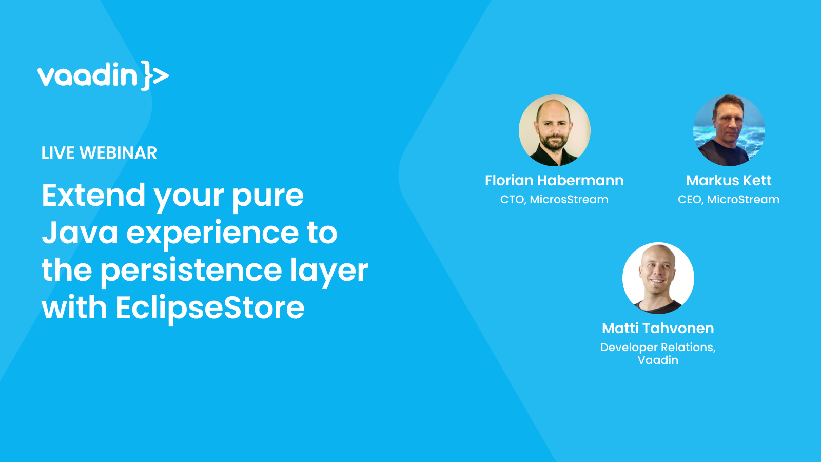 Extend your pure Java experience to the persistence layer with EclipseStore - Vaadin webinar featured image