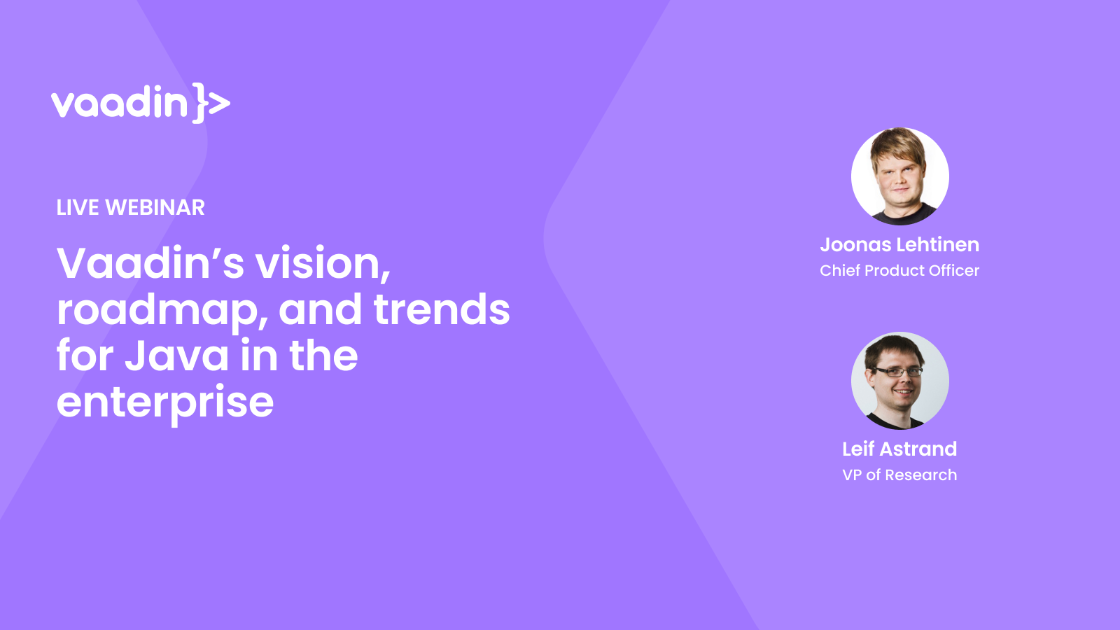 Vaadin's vision, roadmap, and trends for Java in the enterprise - Vaadin webinar featured image