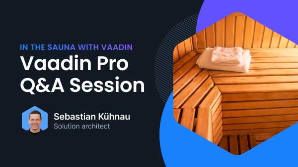 itsvv-vaadin-pro