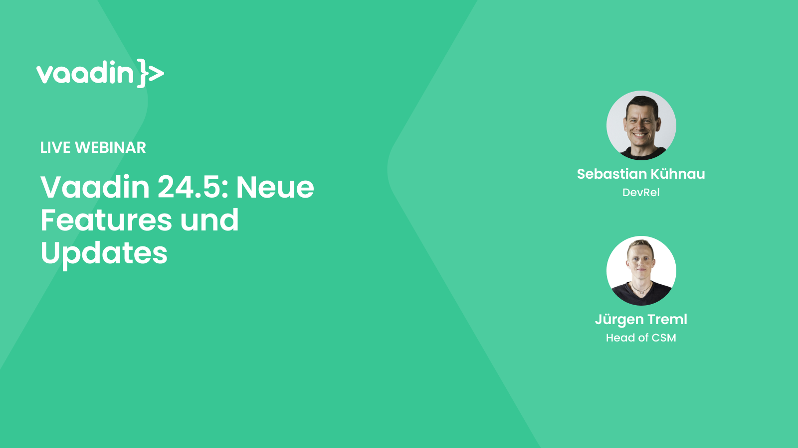 Vaadin 24.5: Neue Features und Updates - Vaadin Webinar Featured image