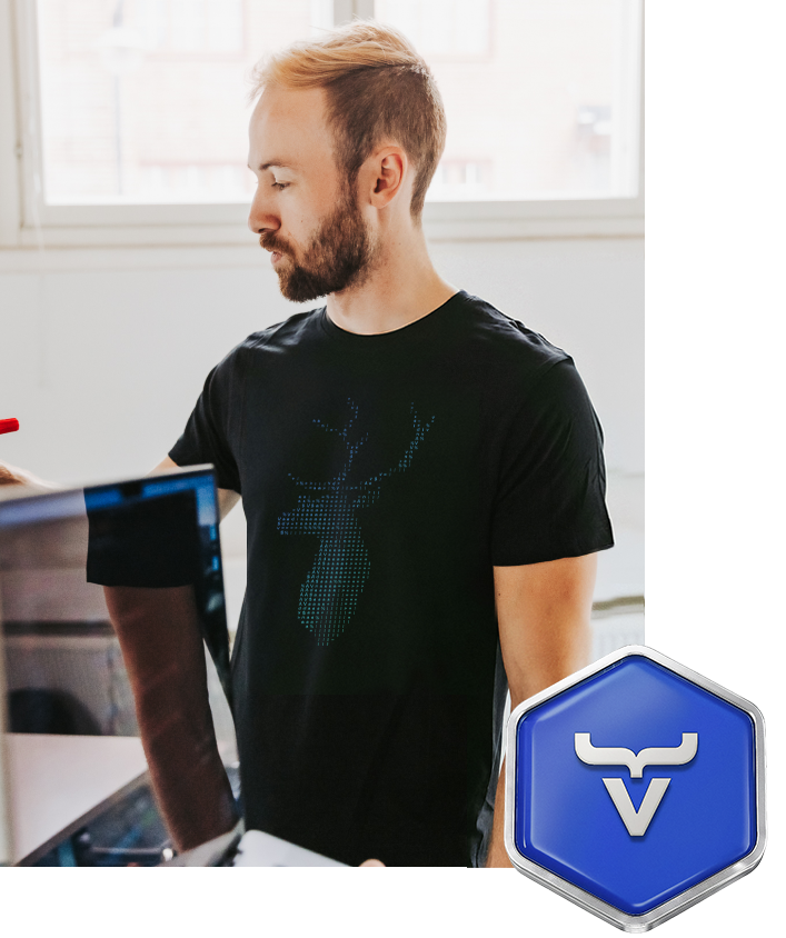 Vaadin Certified Developer