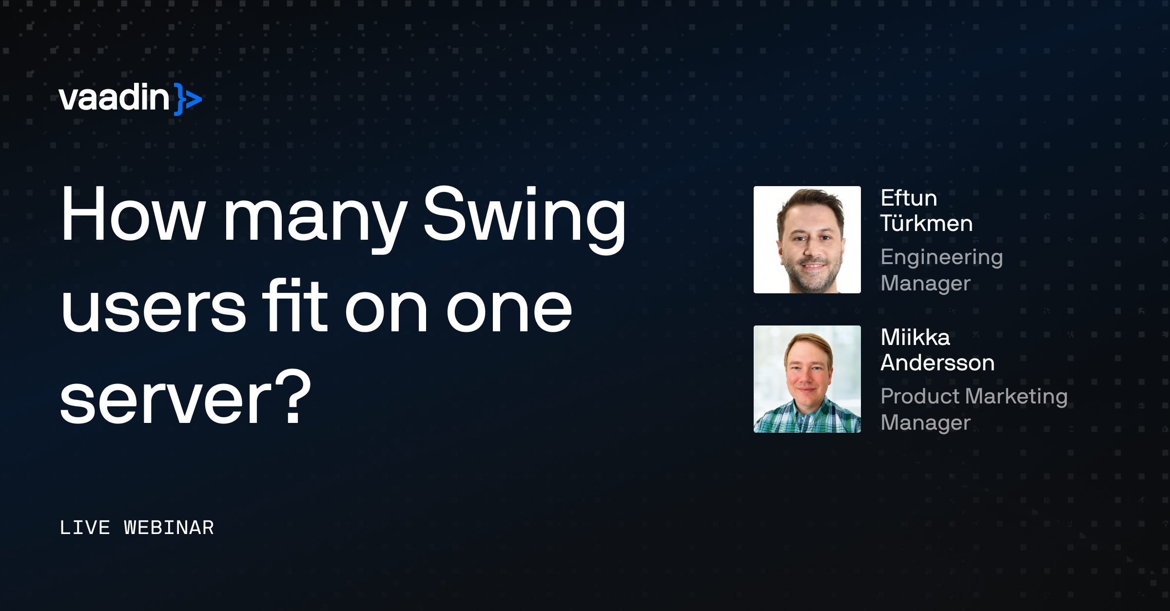 How many Swing users fit on one server?
